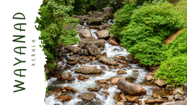 Wayanad