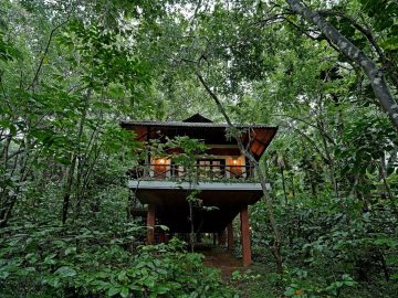 Coffee Acres Resort