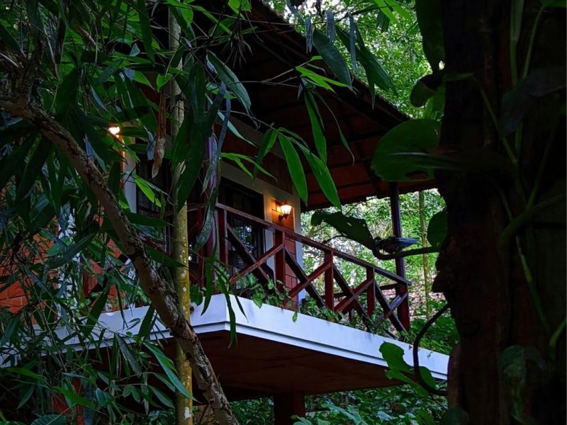 Plantation Cottage