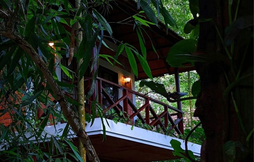 Plantation Cottage