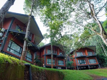 Vyna hillock Resort