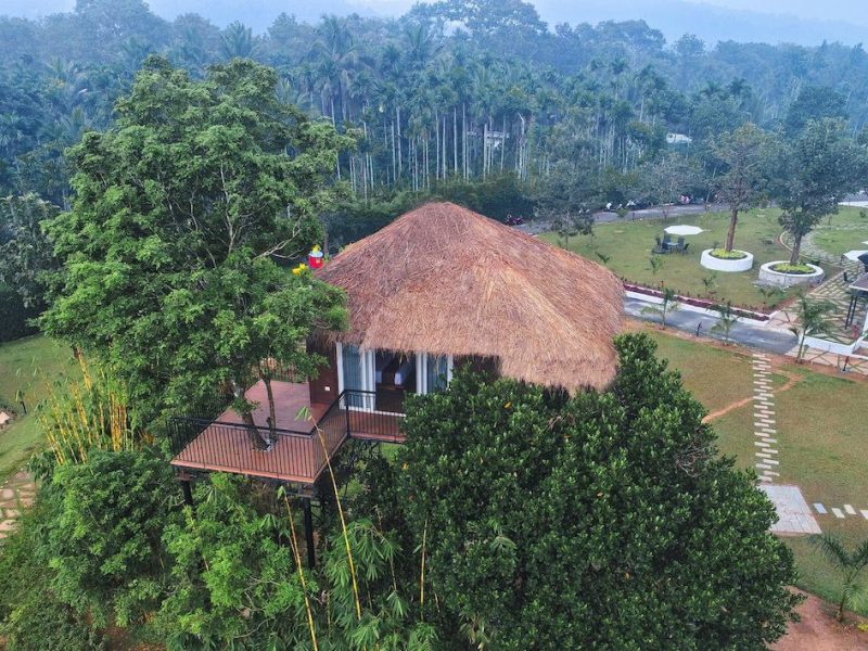The Tree House