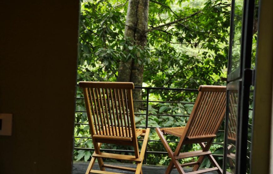 Romantic Hut