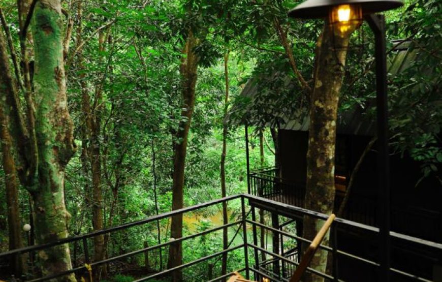 Romantic Hut
