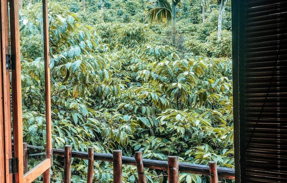 Safari Cottage with Private Pool