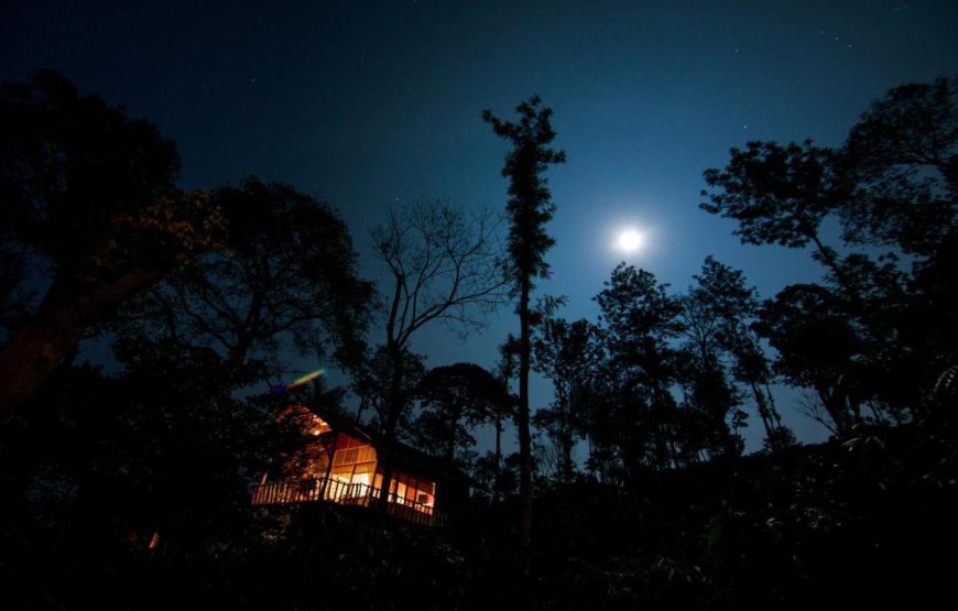Safari Cottage with Private Pool
