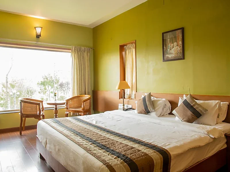Premium Executive Room