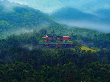 Petals Resort
